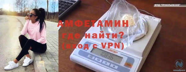 дживик Верея
