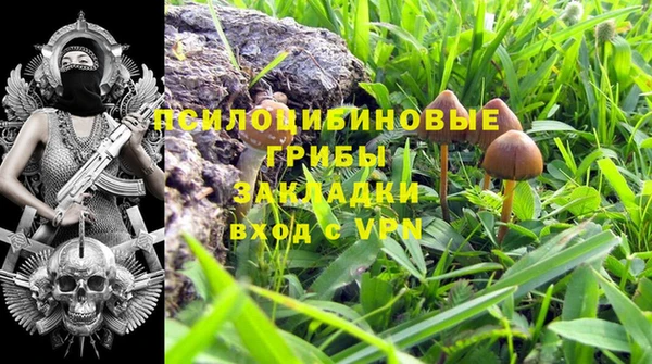 марки lsd Бородино
